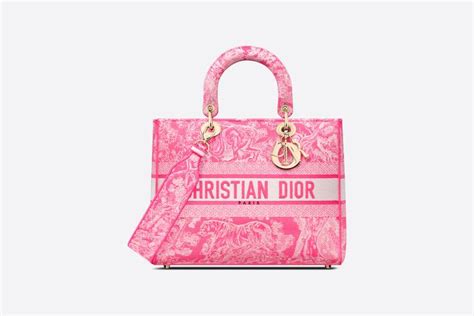 dior toile bag|Dior beauty bag pink.